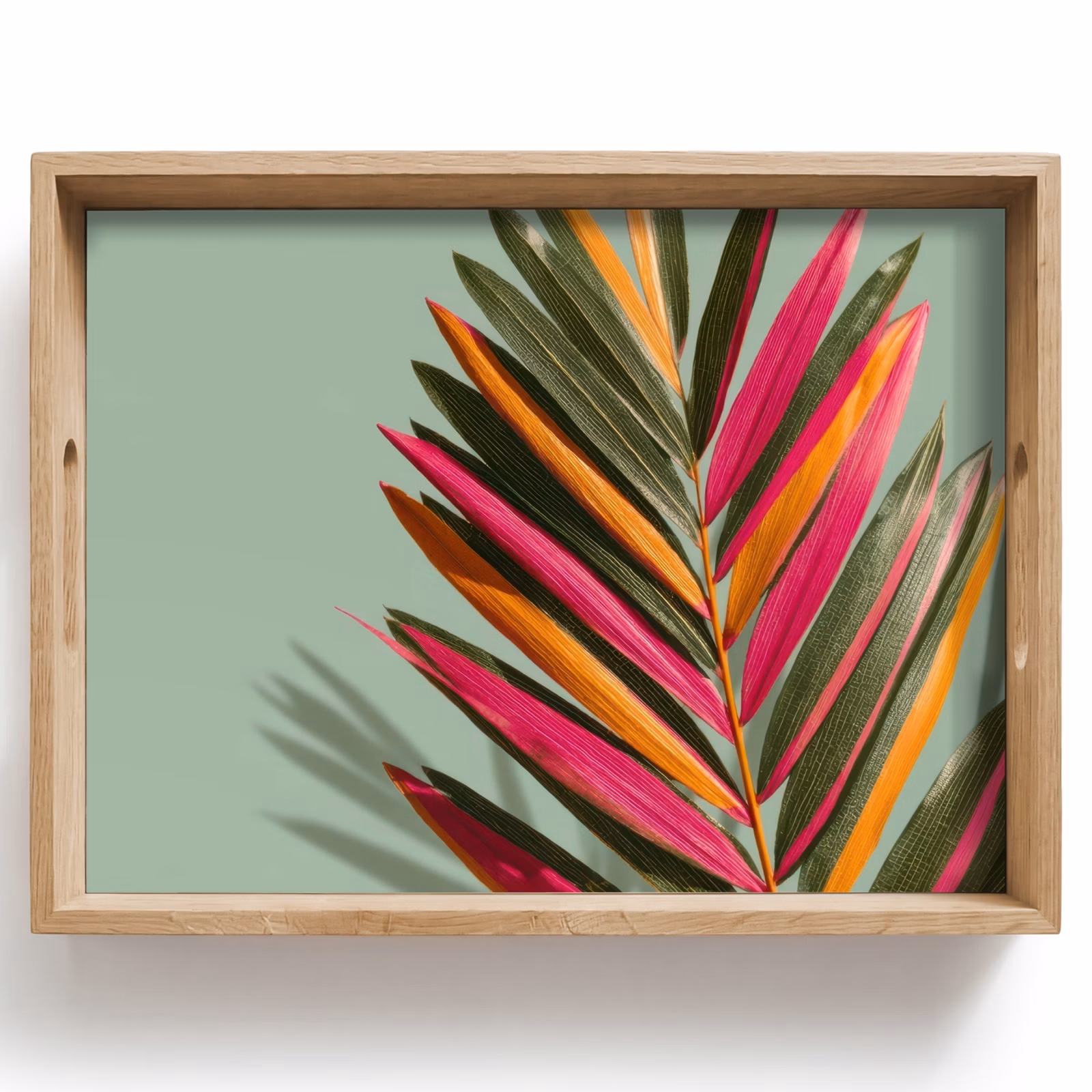 Tray - Branch - Leaves - Colorful - Shadow — 1