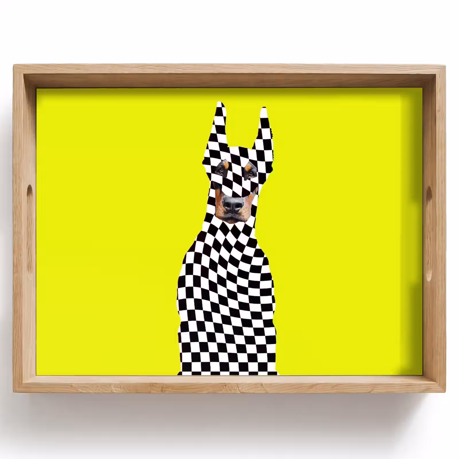 Tray - Doberman - Blocked - Yellow — 1