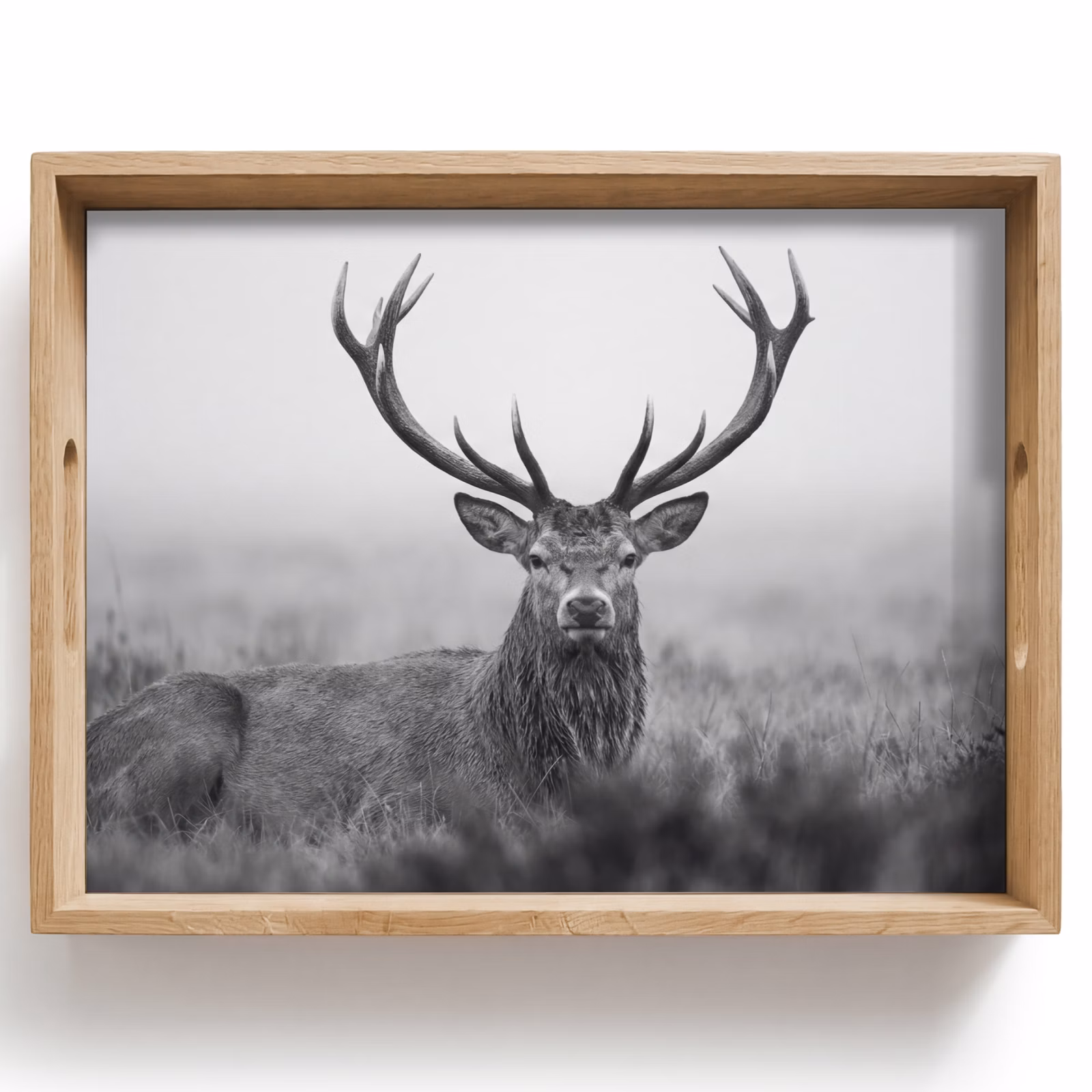 Tray - Deer - Foggy - Black - White — 1