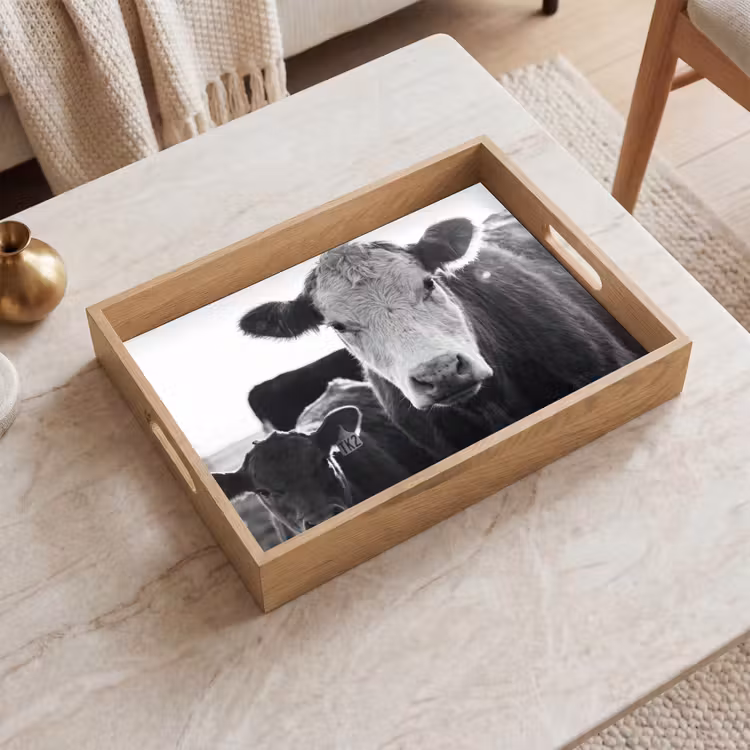 Tray - Cows - Black - White — 2