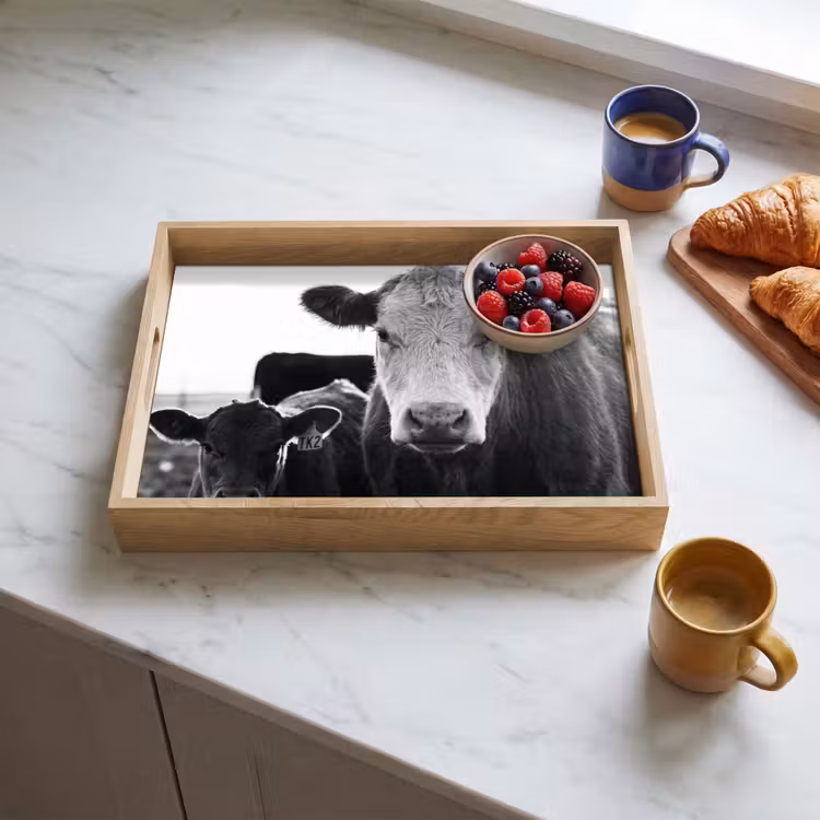 Tray - Cows - Black - White — 3