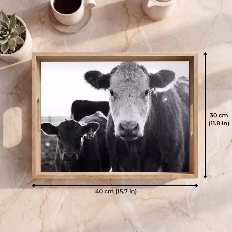 Tray - Cows - Black - White — 7
