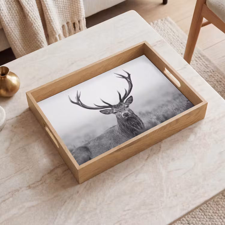 Tray - Deer - Foggy - Black - White — 2