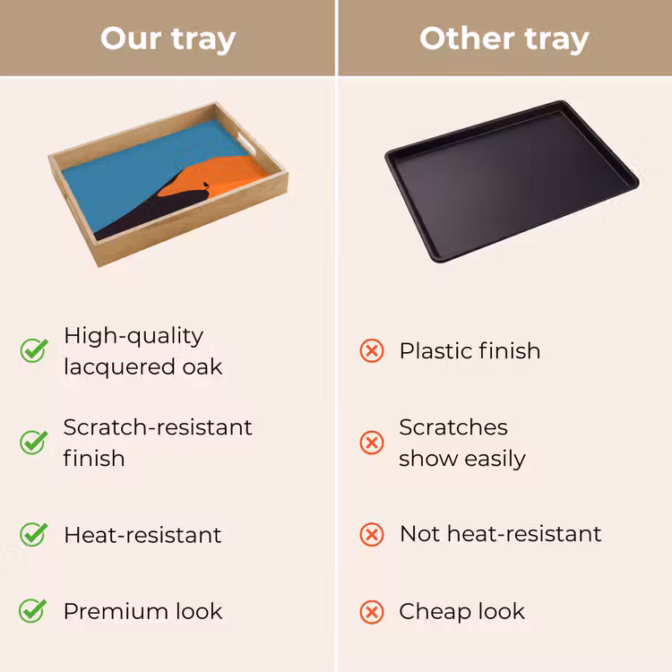 Tray - Bright orange dunes - Shadow - Empty sky — 10