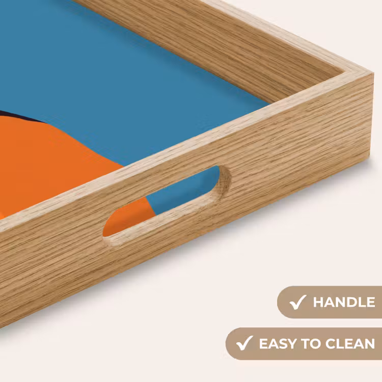 Tray - Bright orange dunes - Shadow - Empty sky — 9