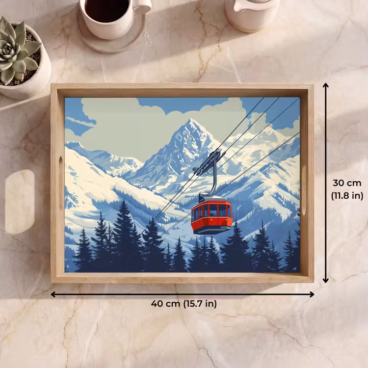 Tray - Cable car - Snow - Mountain scenery — 7