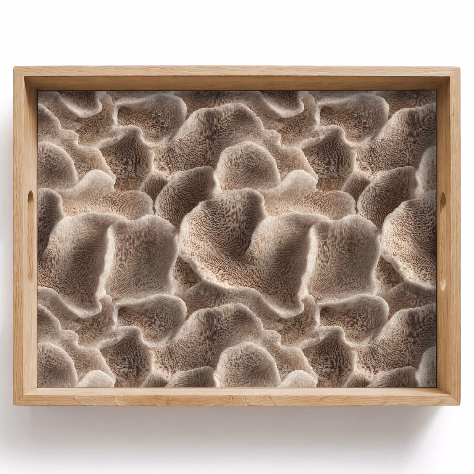 Tray - Fan shape - Beige - Fiber texture — 1