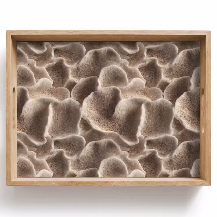 Tray - Fan shape - Beige - Fiber texture — 1