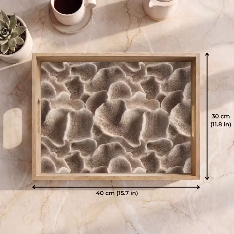 Tray - Fan shape - Beige - Fiber texture — 7