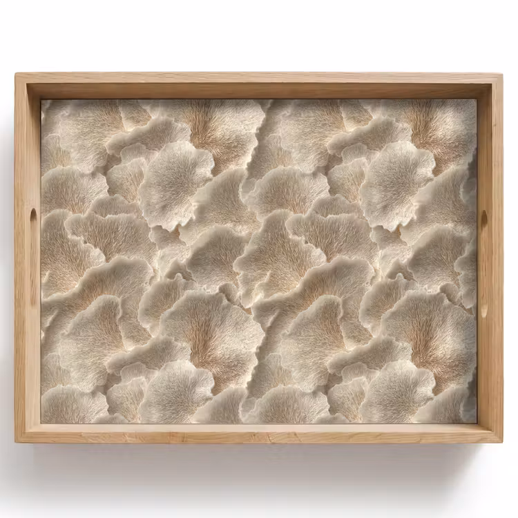 Tray - Fan textures - Beige - Fiber texture — 1