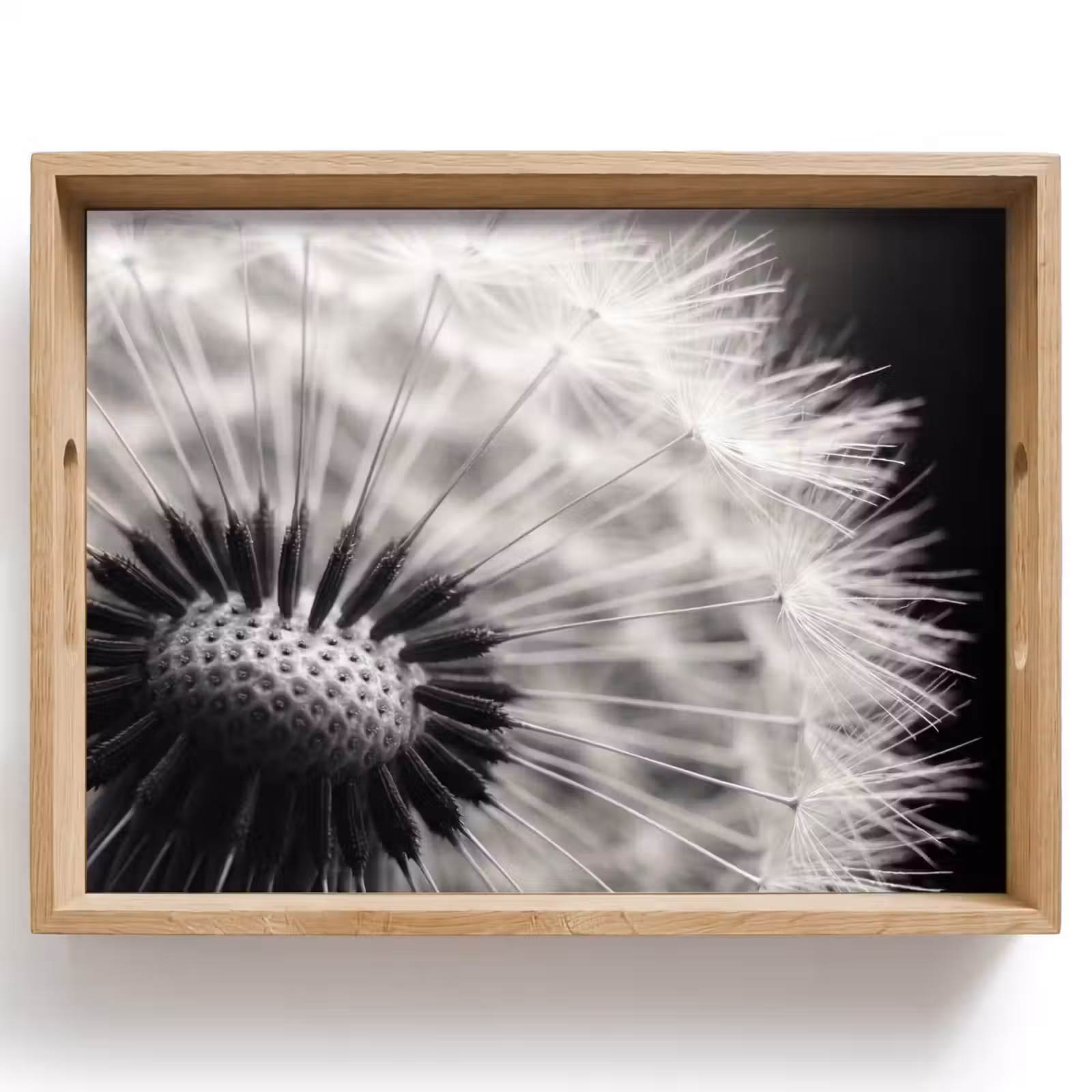 Tray - Dandelion - Black - White — 1