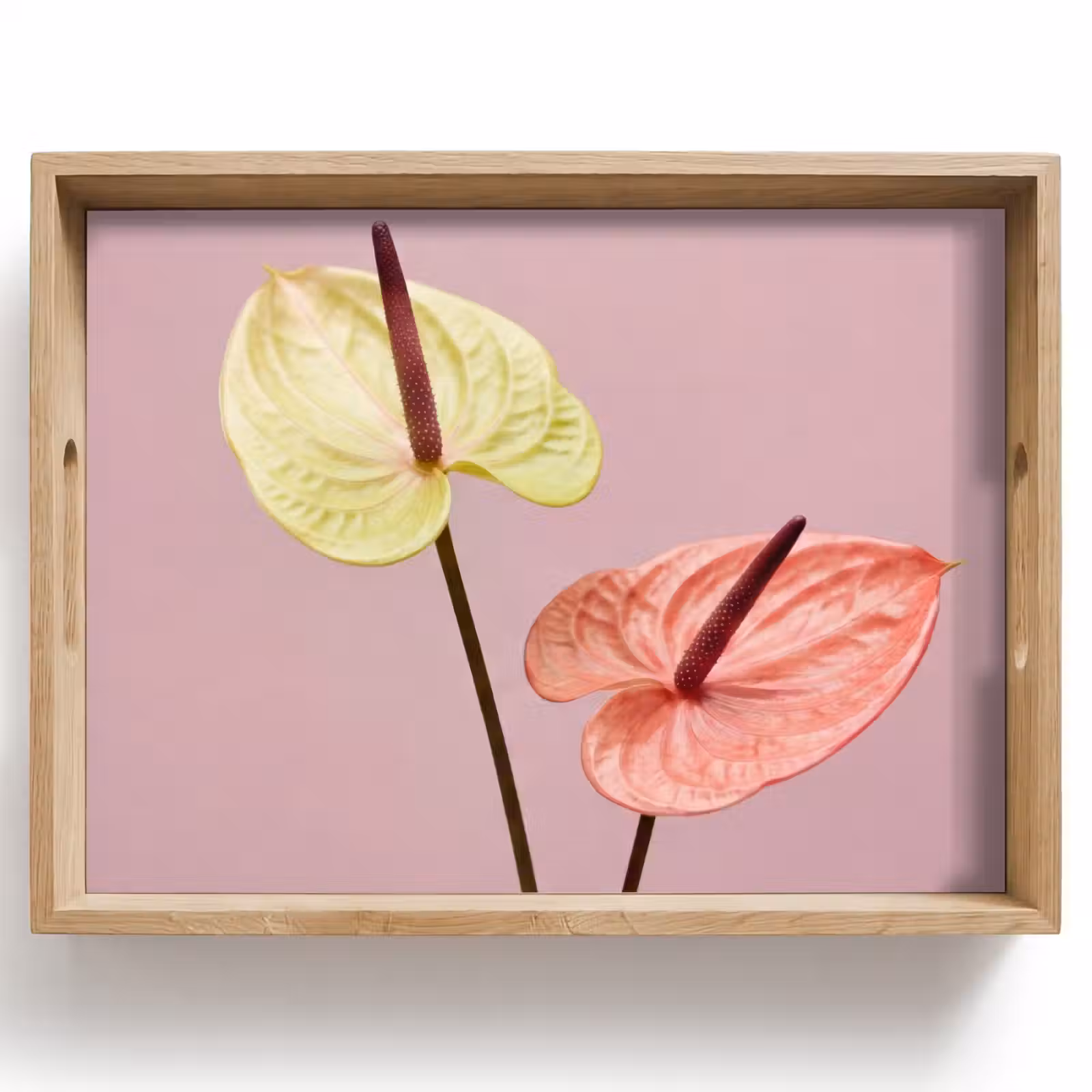 Tray - Flowers - Anthuriums - Yellow - Pink — 1