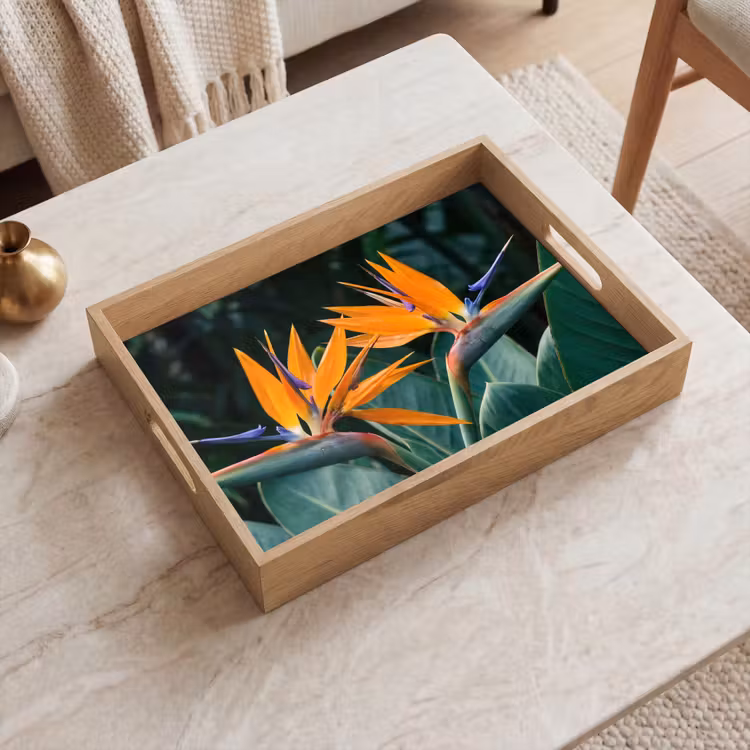 Tray - Bird of paradise - Flower - Exotic — 2
