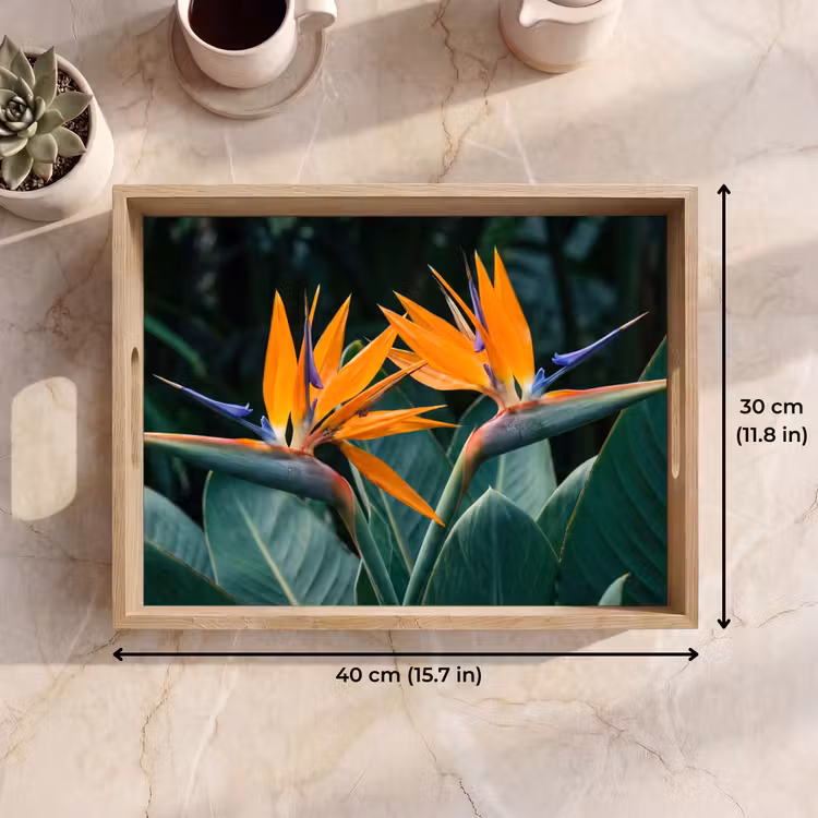 Tray - Bird of paradise - Flower - Exotic — 7