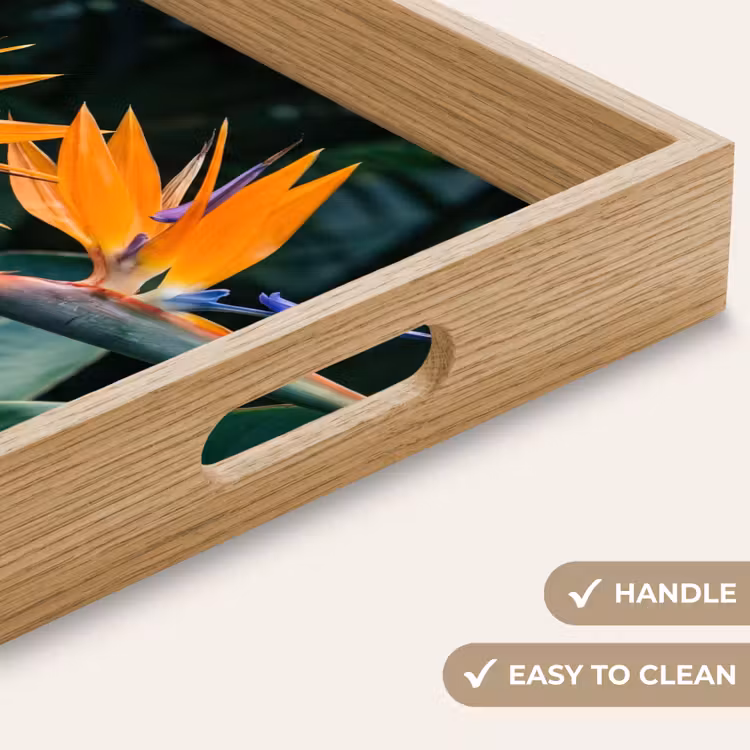 Tray - Bird of paradise - Flower - Exotic — 9