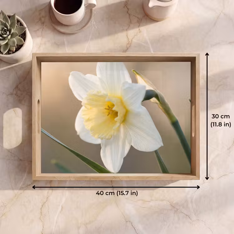 Tray - Daffodil - Flower - Minimalist — 7