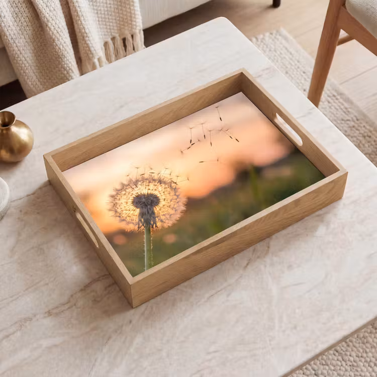 Tray - Dandelion - Sunset - Field — 2