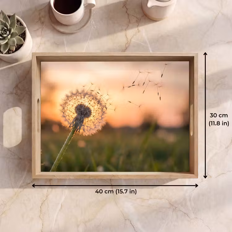 Tray - Dandelion - Sunset - Field — 7
