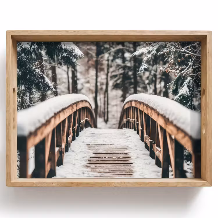 Tray - Bridge - Winter landscape - Forest - Nature - Snow — 1
