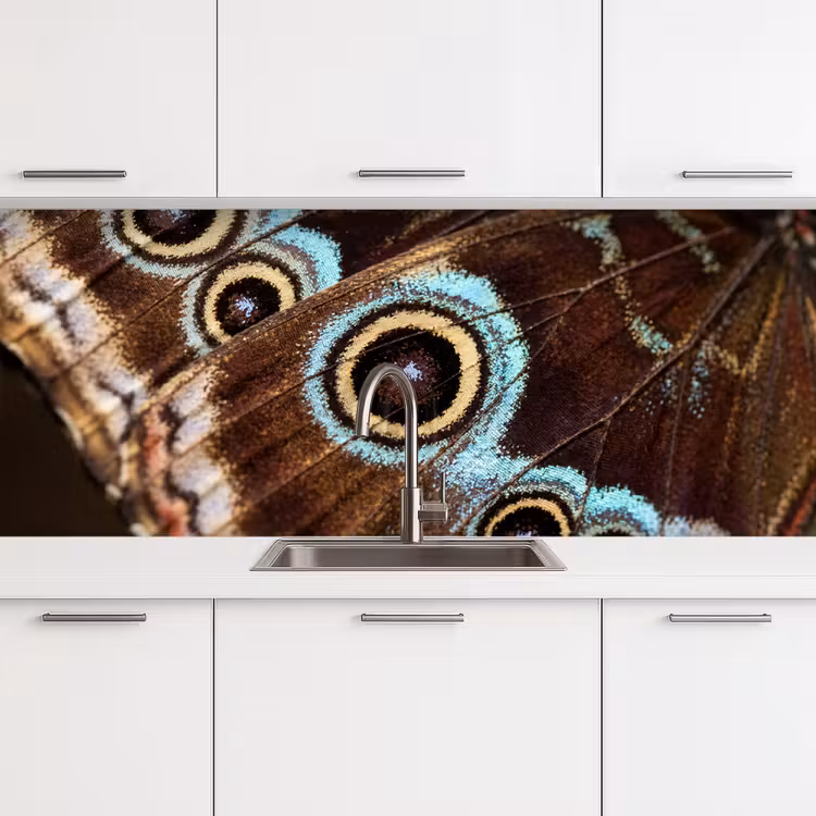 Kitchen splashback - Wings - Butterfly - Blue — 4
