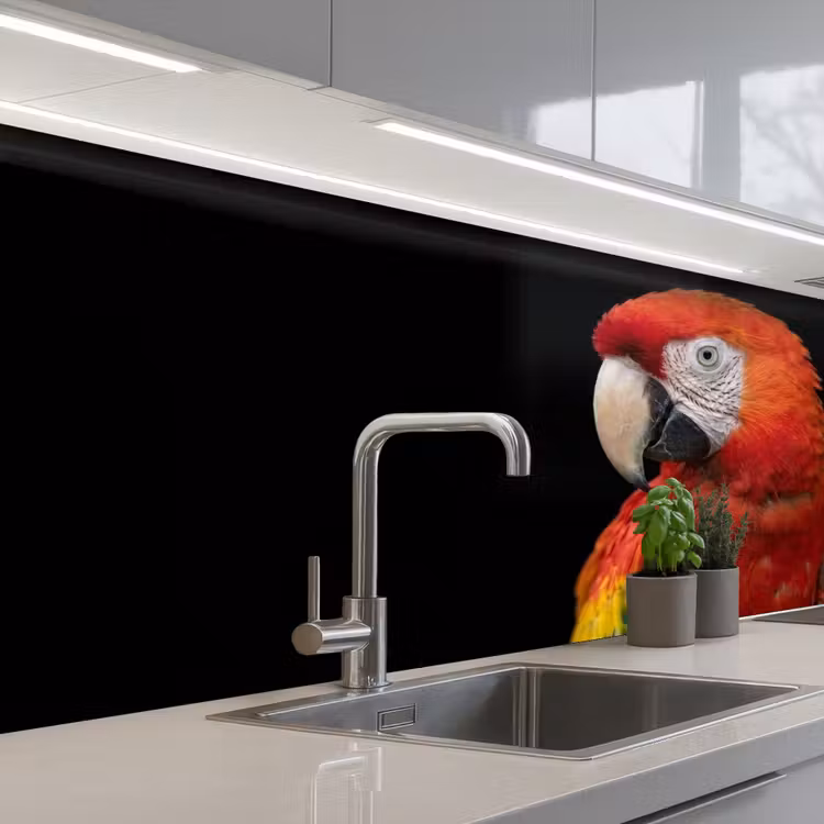 Kitchen splashback - Macaw - Portrait - Red — 2