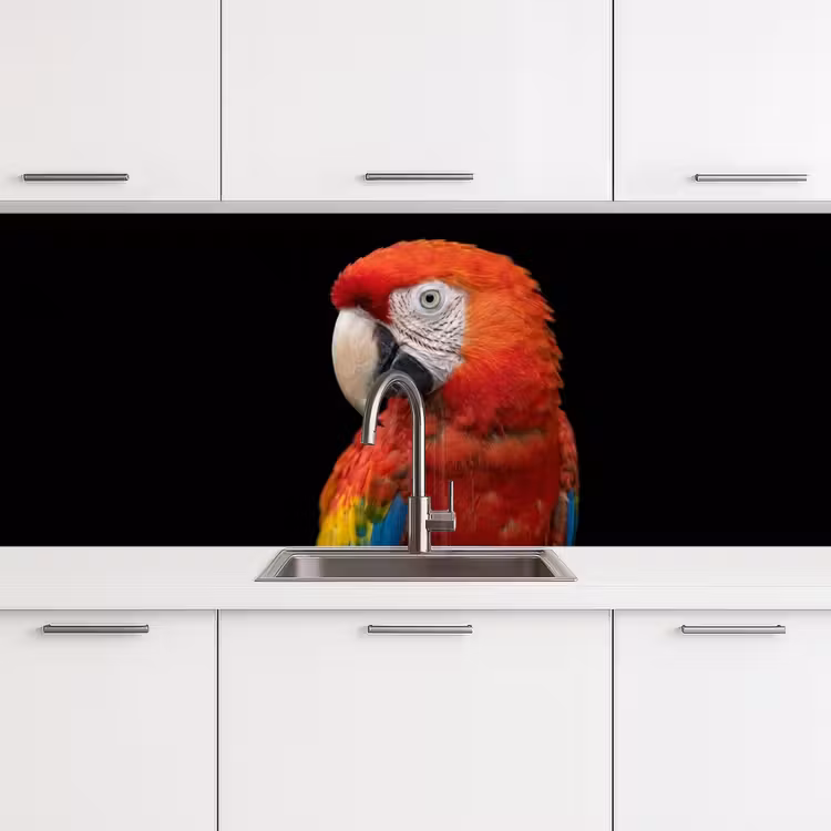 Kitchen splashback - Macaw - Portrait - Red — 4