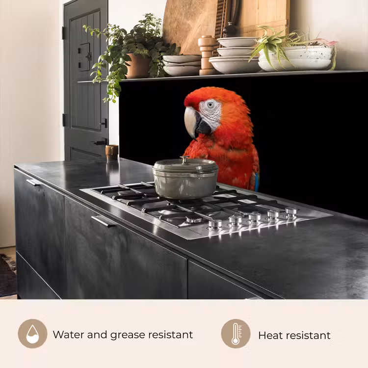Kitchen splashback - Macaw - Portrait - Red — 5