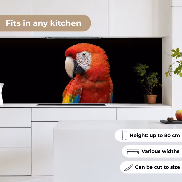 Kitchen splashback - Macaw - Portrait - Red — 7