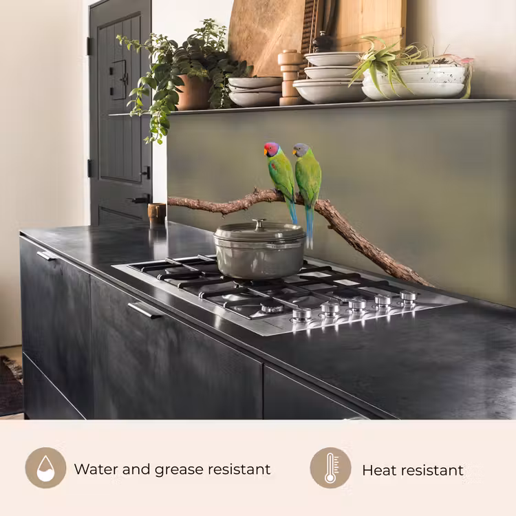Kitchen splashback - Parrot - Branch - Nature - Colorful — 5