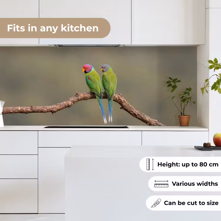 Kitchen splashback - Parrot - Branch - Nature - Colorful — 7