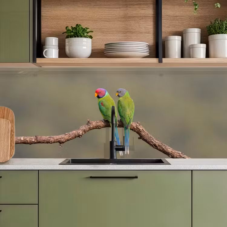 Kitchen splashback - Parrot - Branch - Nature - Colorful — 8