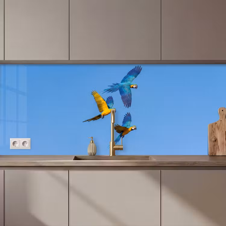 Kitchen splashback - Parrot - Flies - Blue - Yellow — 1
