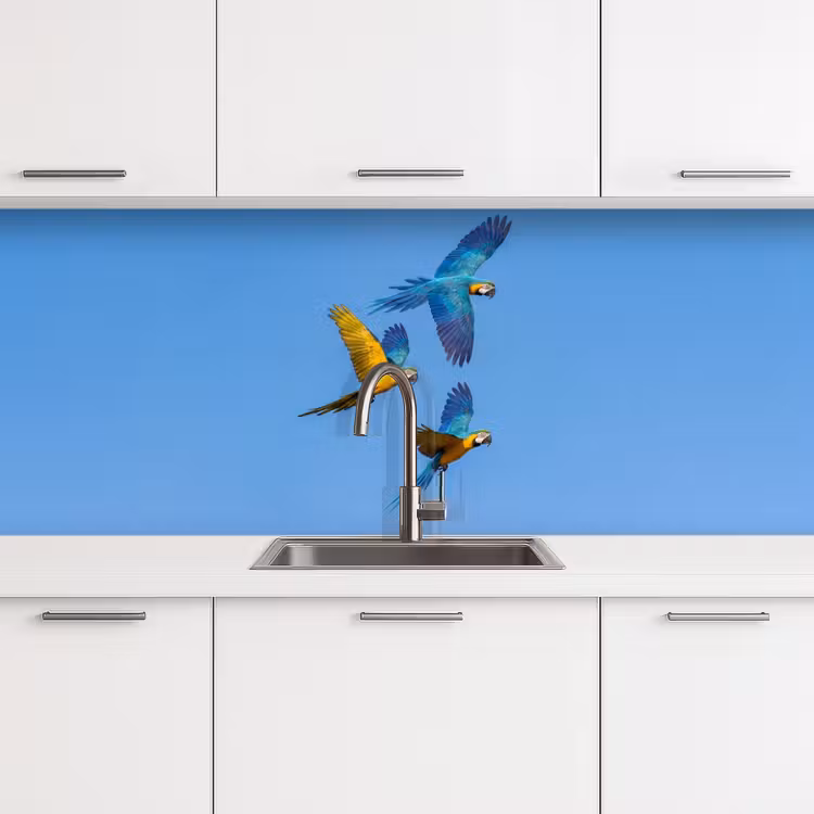 Kitchen splashback - Parrot - Flies - Blue - Yellow — 4
