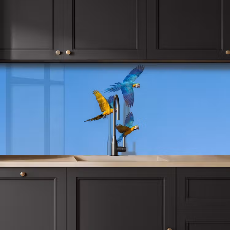 Kitchen splashback - Parrot - Flies - Blue - Yellow — 6