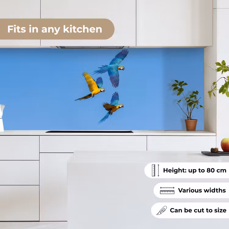 Kitchen splashback - Parrot - Flies - Blue - Yellow — 7