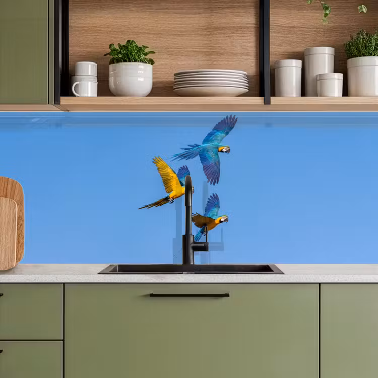 Kitchen splashback - Parrot - Flies - Blue - Yellow — 8