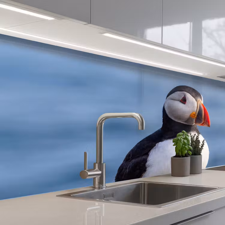 Kitchen splashback - Puffin - Portrait - Nature — 2