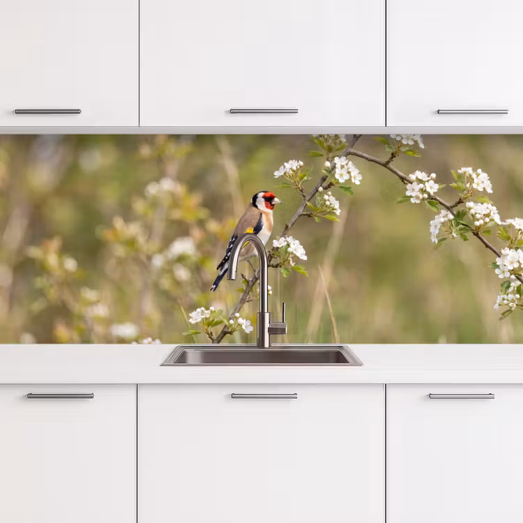 Kitchen splashback - Putter - Blossom - Spring - Nature - Colorful — 4