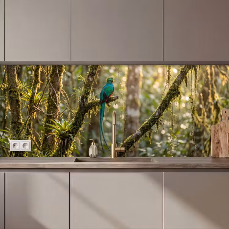 Kitchen splashback - Quetzal - Jungle - Nature - Green — 1