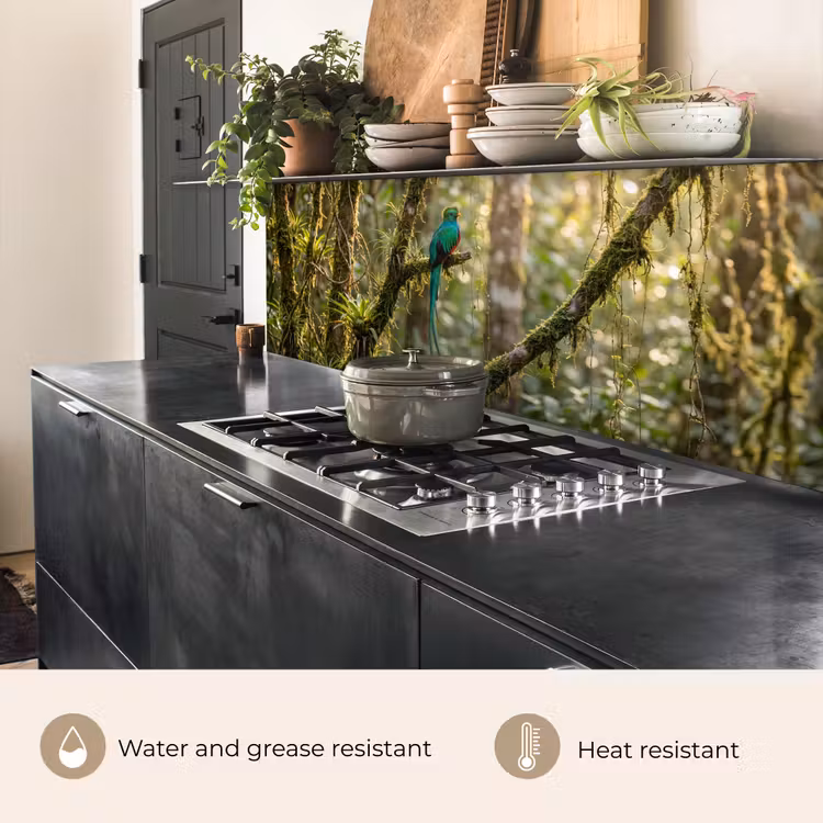 Kitchen splashback - Quetzal - Jungle - Nature - Green — 5