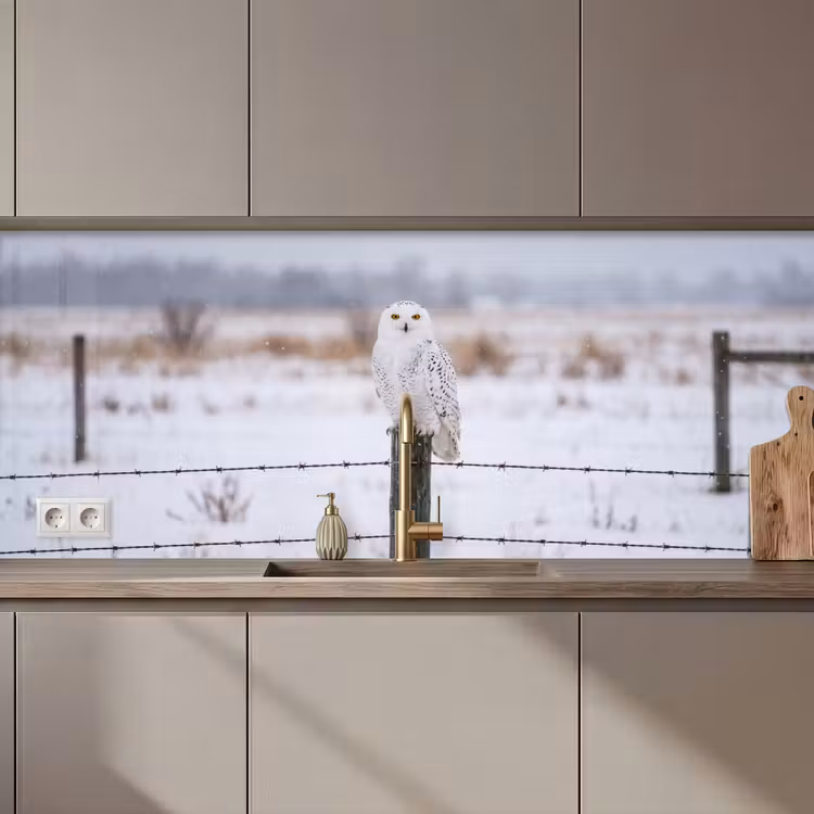 Kitchen splashback - Snowy owl - Fence - Snow - White — 1