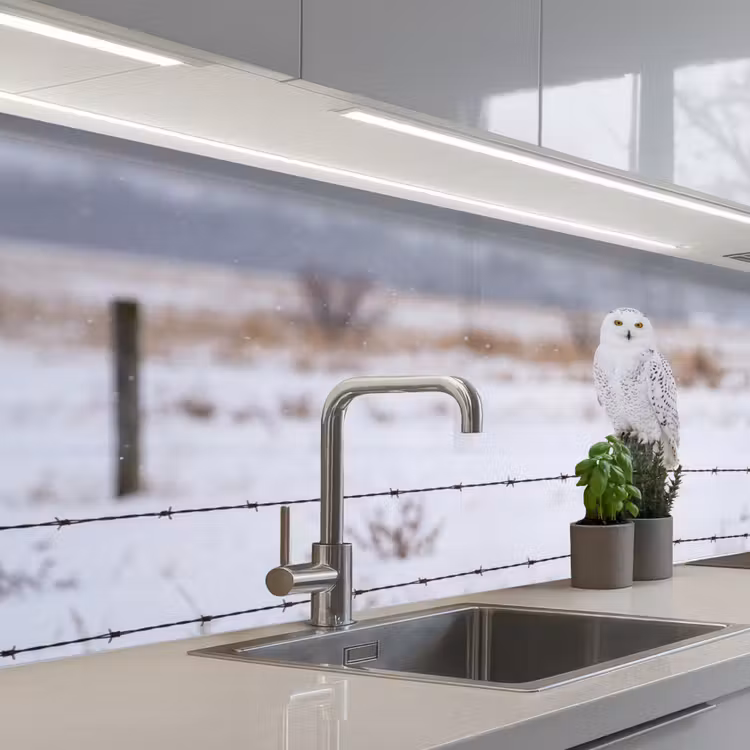 Kitchen splashback - Snowy owl - Fence - Snow - White — 2