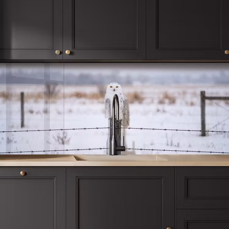 Kitchen splashback - Snowy owl - Fence - Snow - White — 6