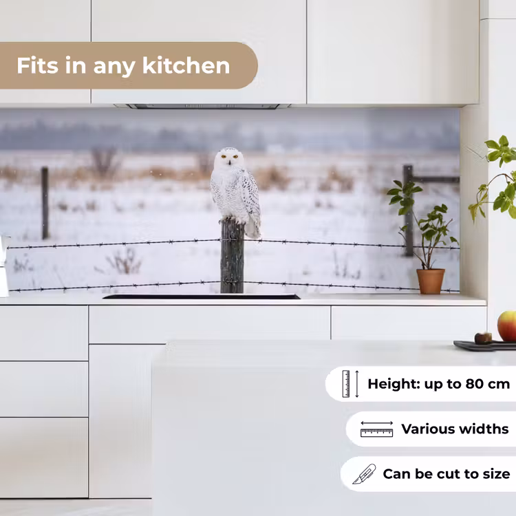 Kitchen splashback - Snowy owl - Fence - Snow - White — 7