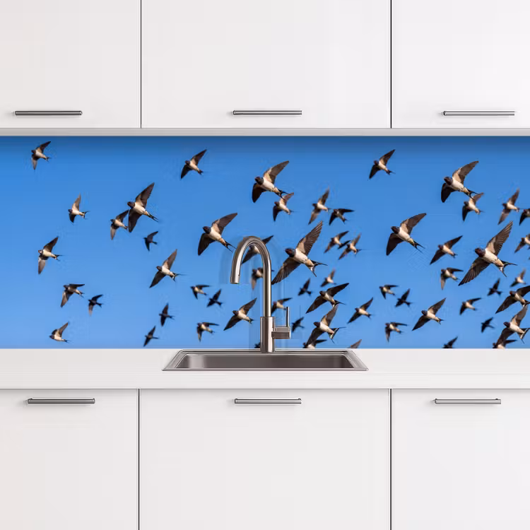 Kitchen splashback - Swallows - Flies - Blue — 4