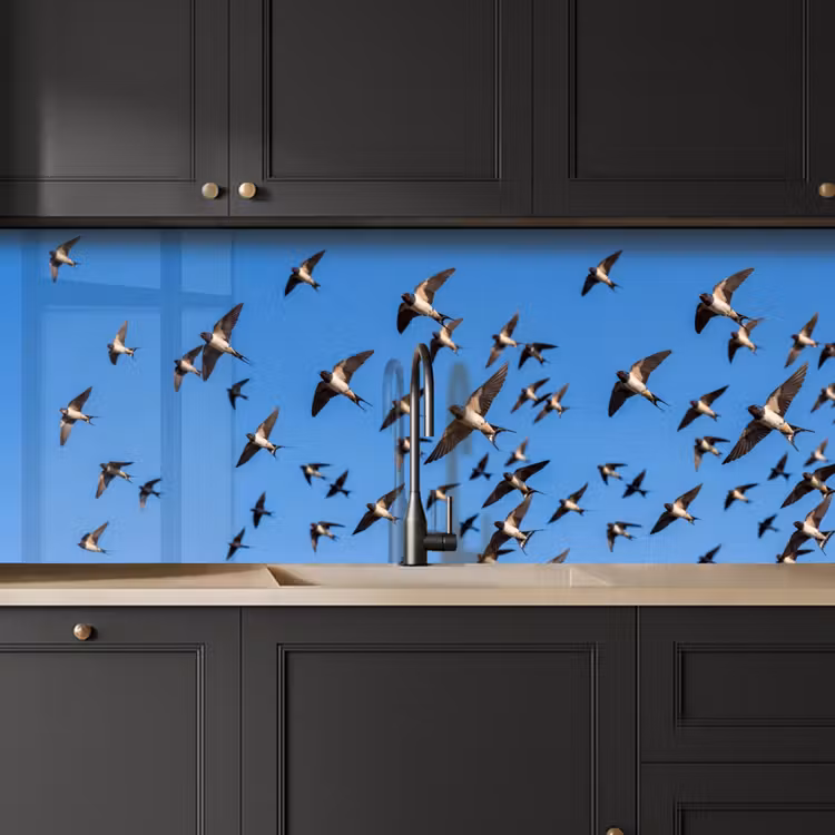 Kitchen splashback - Swallows - Flies - Blue — 6