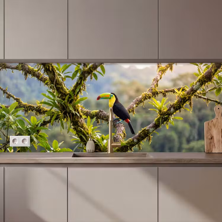 Kitchen splashback - Toucan - Jungle - Nature - Colorful — 1