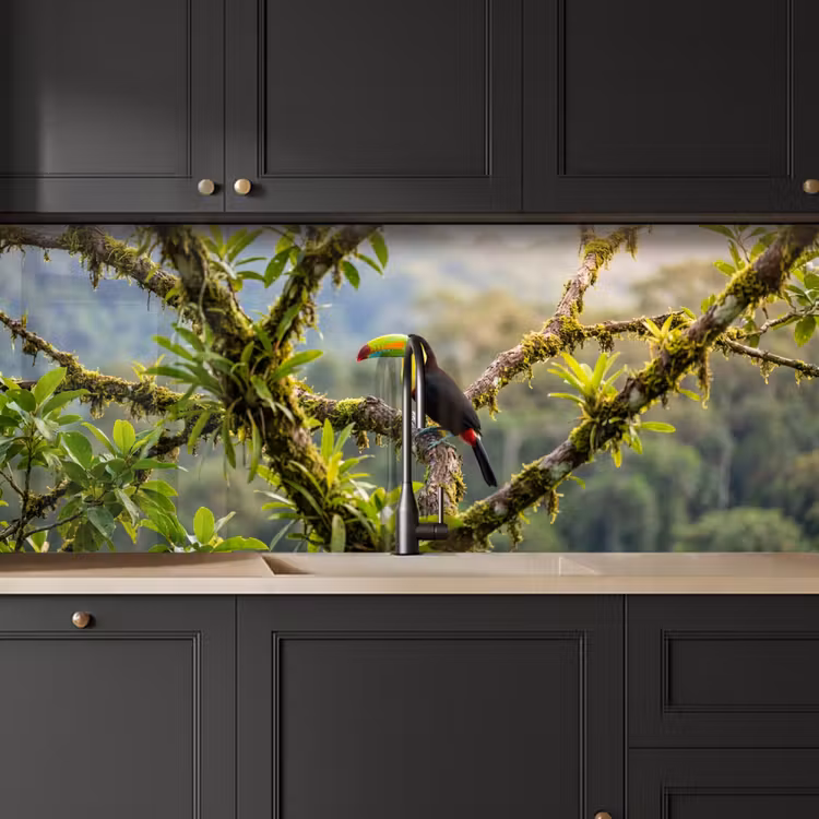 Kitchen splashback - Toucan - Jungle - Nature - Colorful — 6