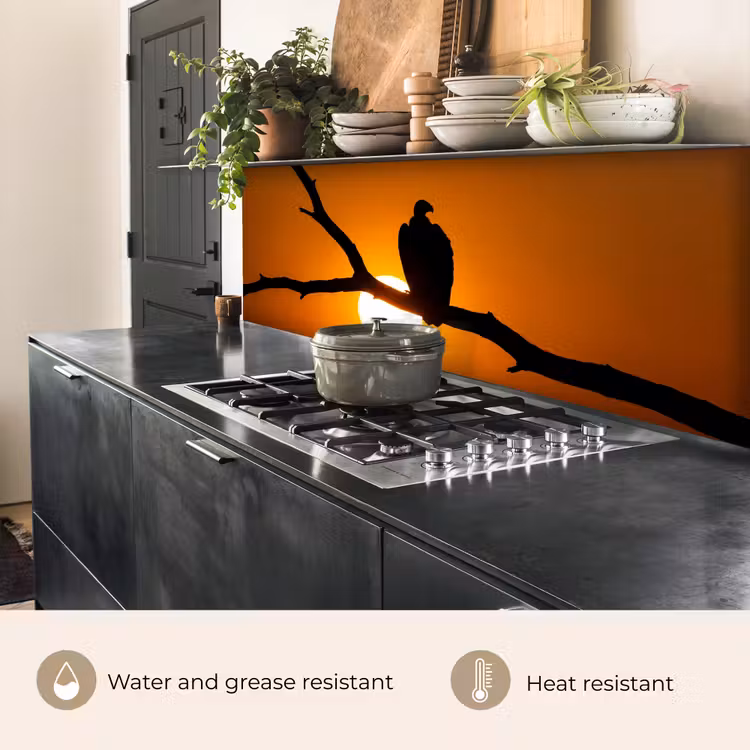 Kitchen splashback - Vulture - Branch - Sun - Orange — 5