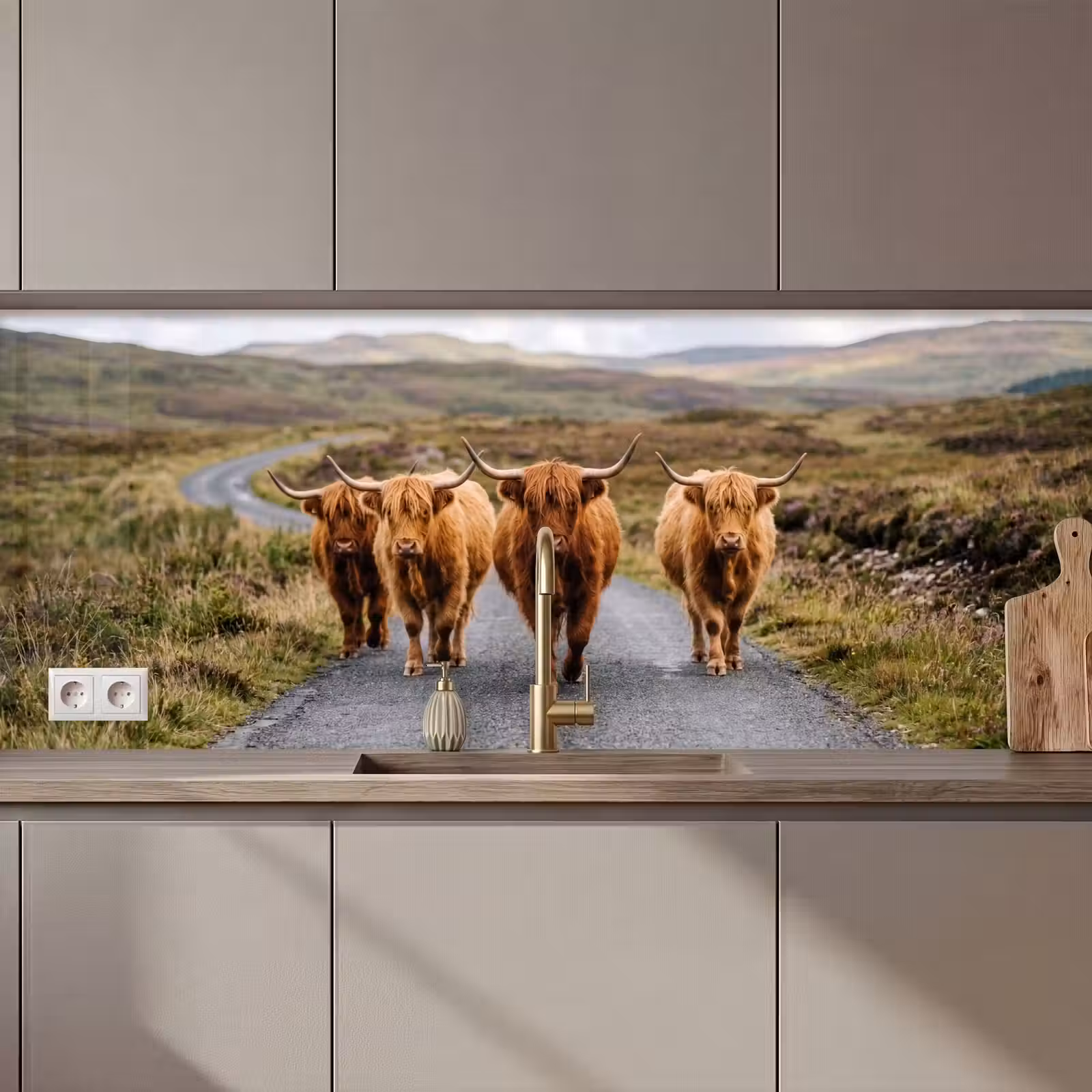 Kitchen splashback - Scottish Highlanders - Road - Landscape - Herd — 1
